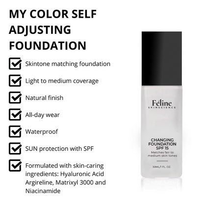 Changing Foundation